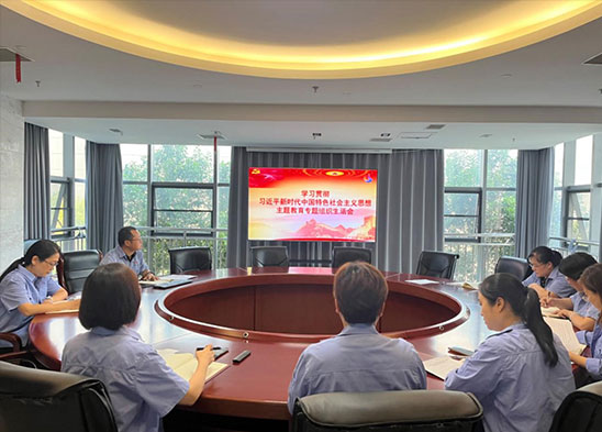 麥斯克電子二支部召開學習貫徹習近平新時代中國特色社會主義思想專題組織生活會